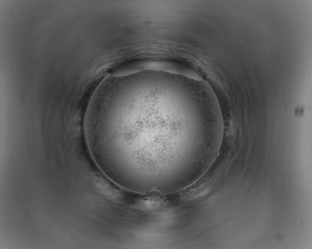 X0000091470466200708161402