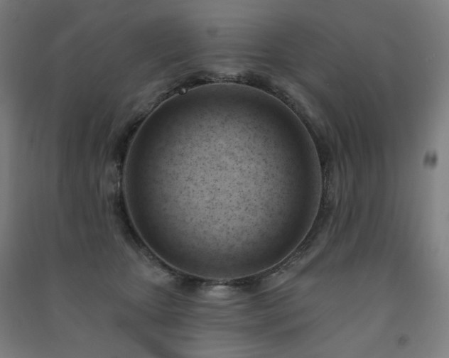 X0000091470467200708161402