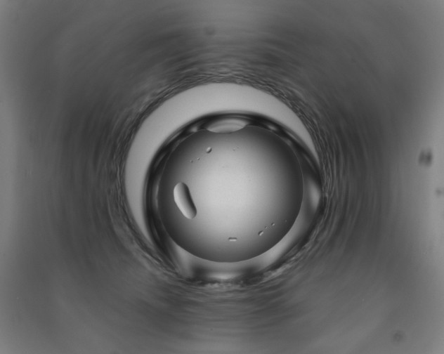 X0000091470468200708161402