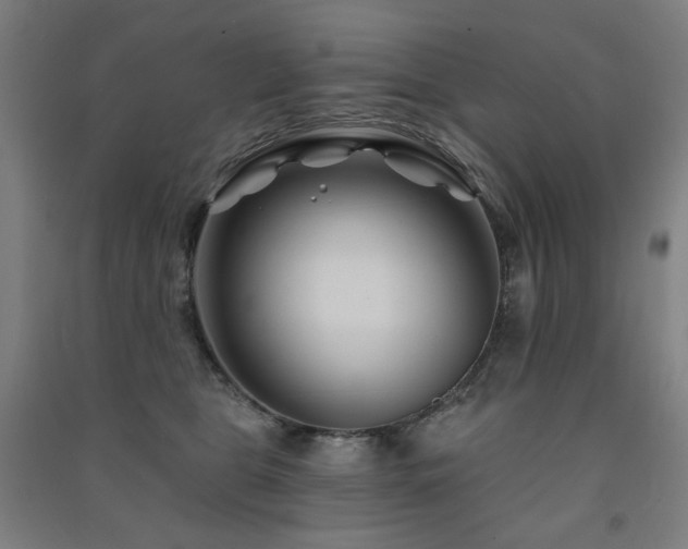 X0000091470469200708161402