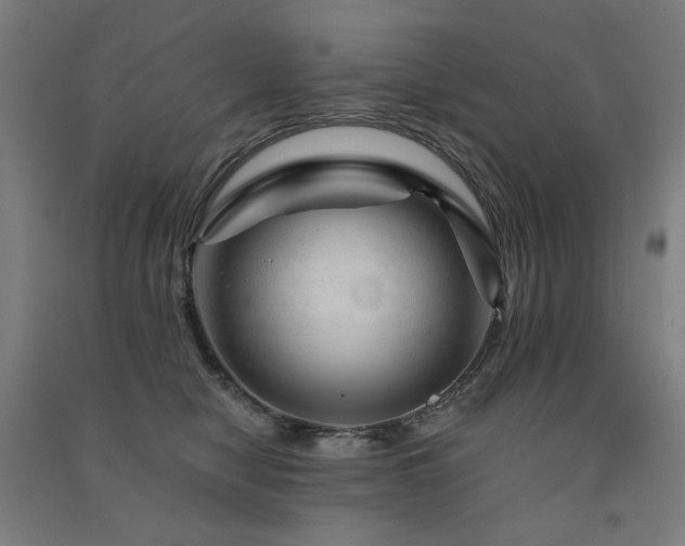 X0000091470470200708161402