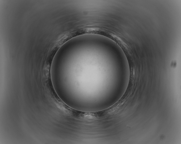 X0000091470475200708161402