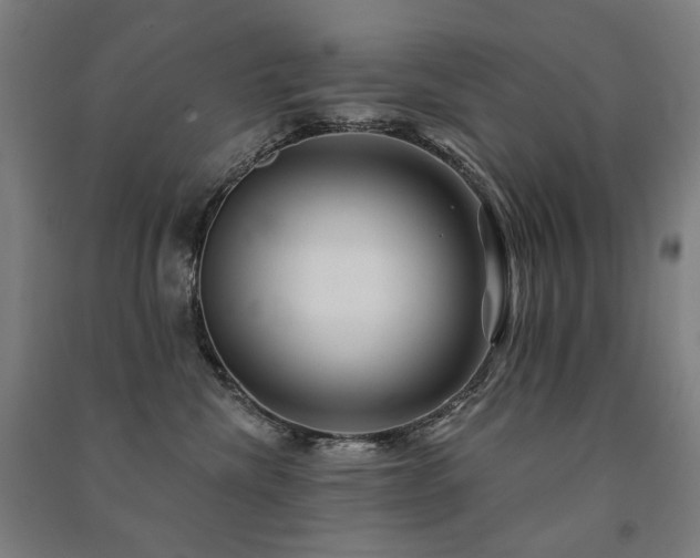 X0000091470476200708161402