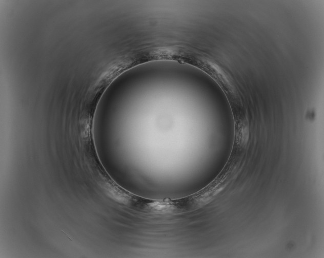 X0000091470477200708161402