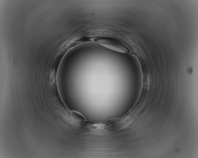 X0000091470478200708161402