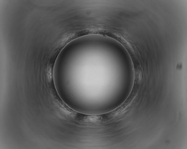 X0000091470479200708161402