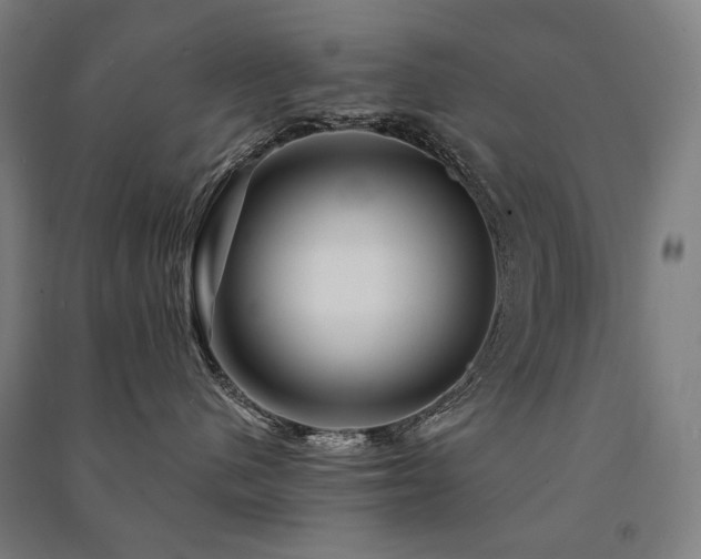 X0000091470480200708161402