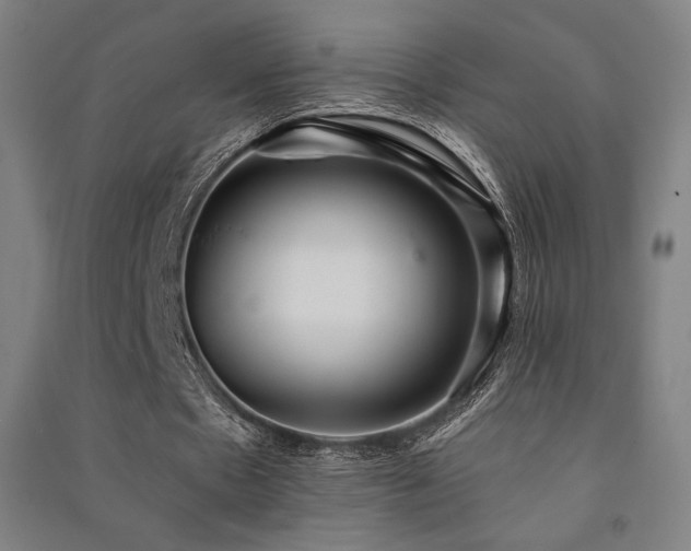 X0000091470481200708161402