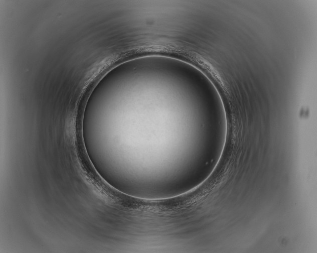 X0000091470482200708161402