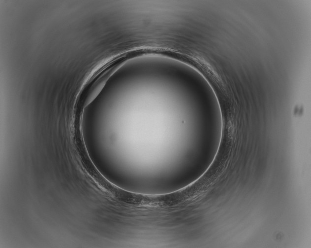 X0000091470484200708161402