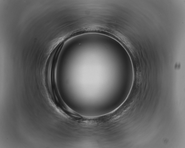 X0000091470485200708161402