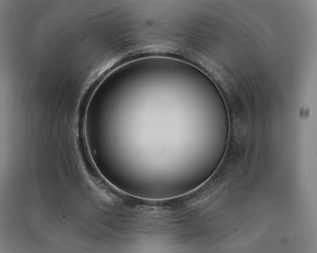 X0000091470486200708161402