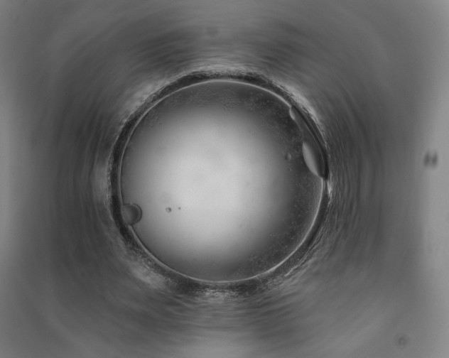 X0000091470487200708161402