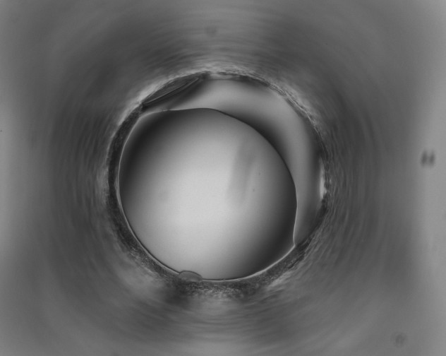 X0000091470488200708161402