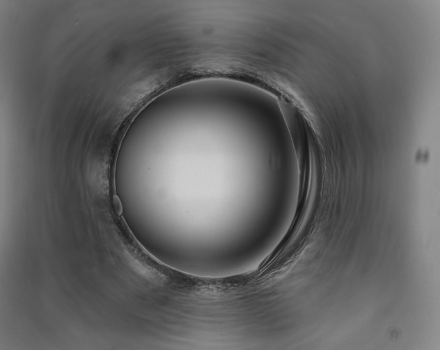 X0000091470489200708161402