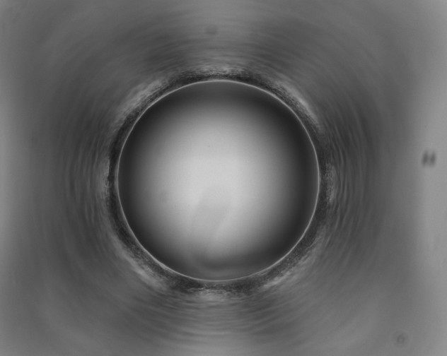 X0000091470490200708161402