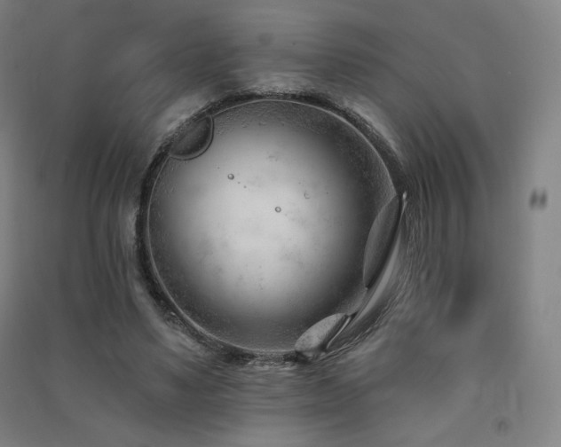 X0000091470491200708161402