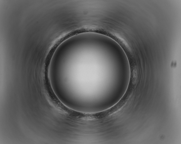 X0000091470492200708161402
