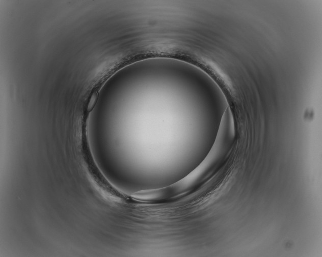 X0000091470493200708161402