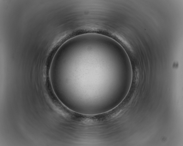 X0000091470494200708161402