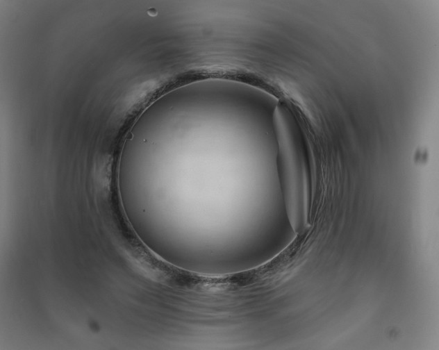 X0000091470495200708161402