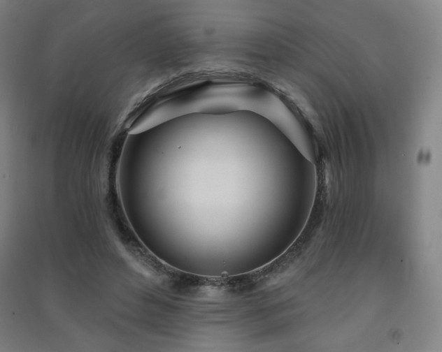 X0000091470496200708161402