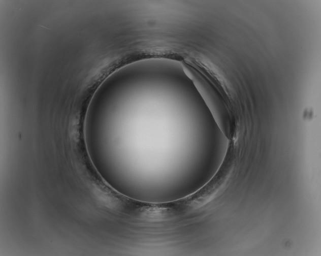 X0000091470497200708161402