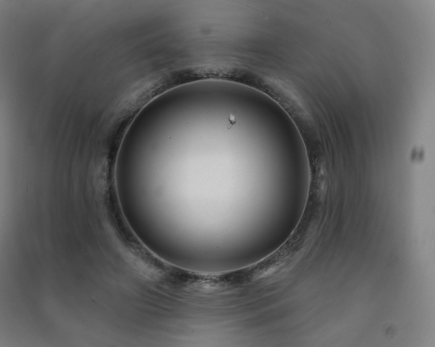 X0000091470498200708161402