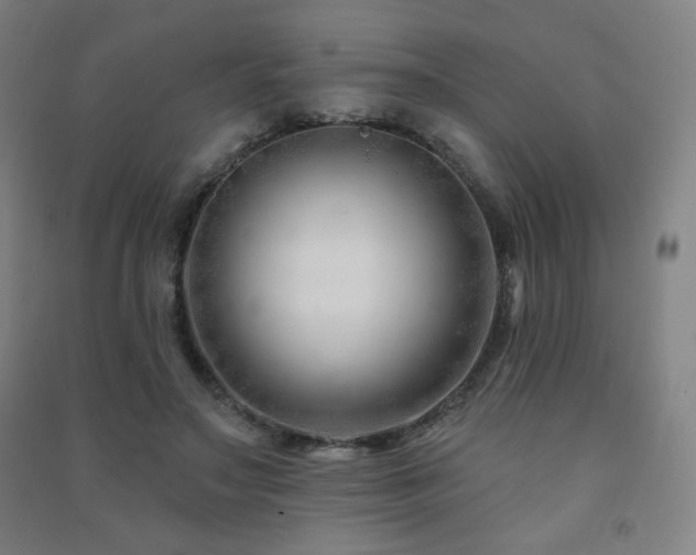 X0000091470499200708161402