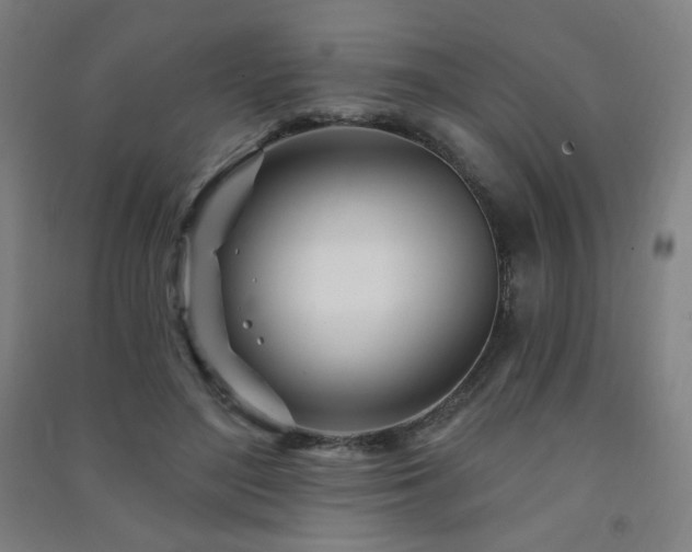 X0000091470500200708161402