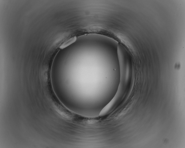 X0000091470501200708161402