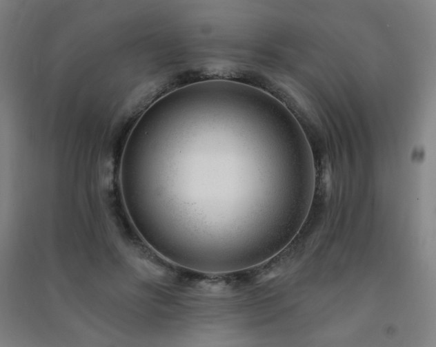 X0000091470502200708161402