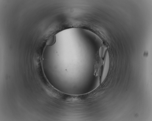 X0000091470503200708161402