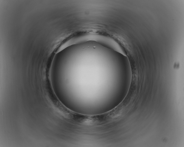 X0000091470504200708161401