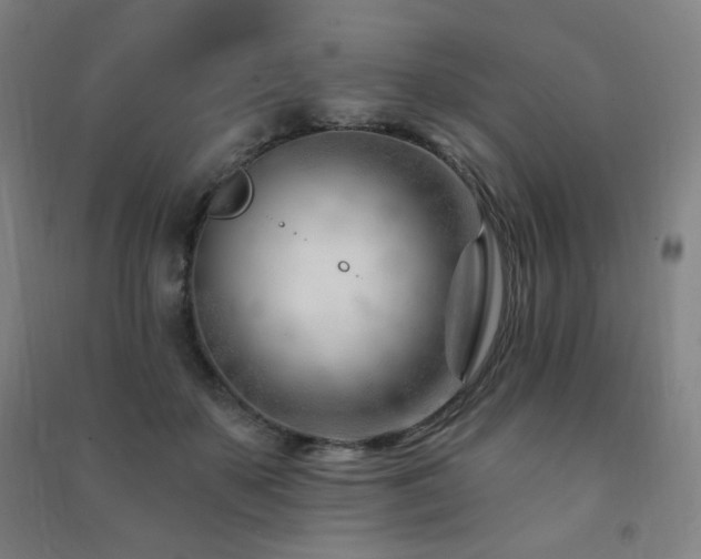 X0000091470507200708161401