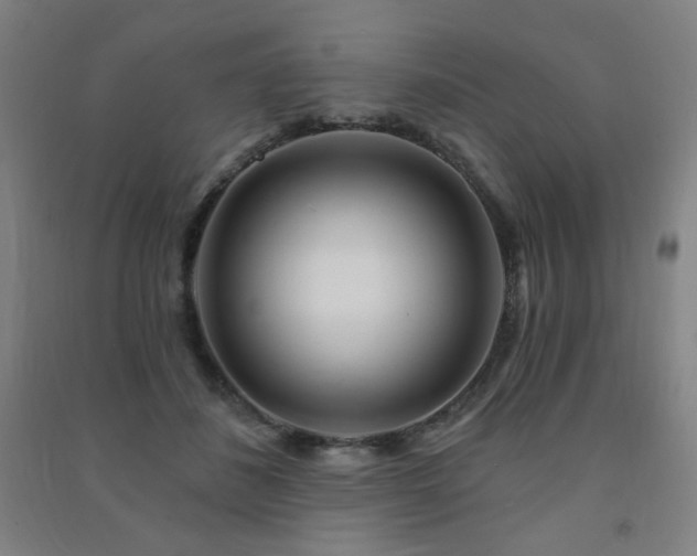 X0000091470508200708161401