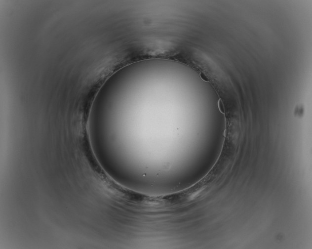 X0000091470510200708161401
