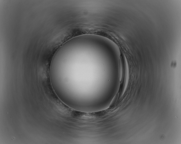 X0000091470515200708161401