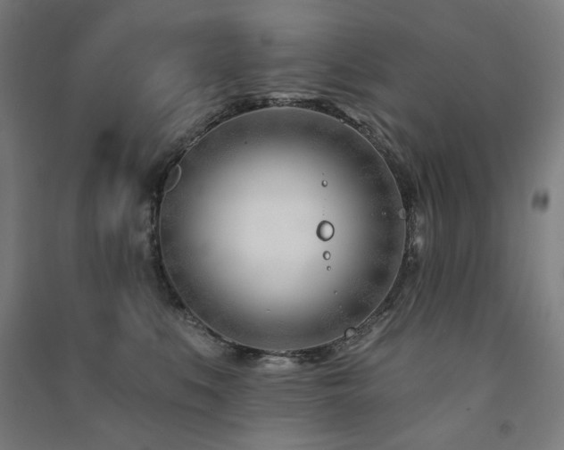 X0000091470519200708161401