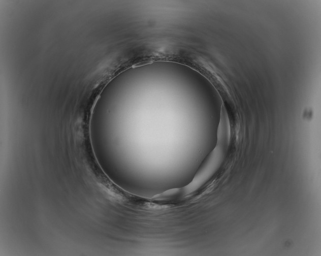 X0000091470520200708161401