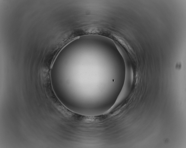 X0000091470521200708161401
