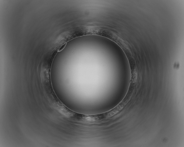 X0000091470522200708161401
