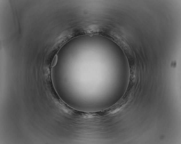 X0000091470523200708161401