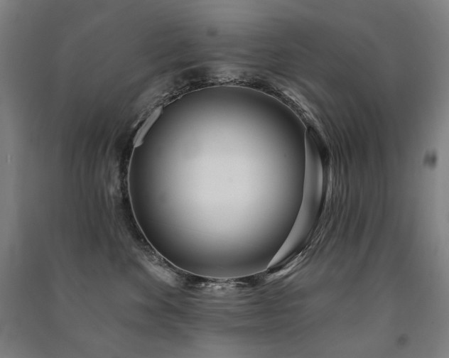 X0000091470524200708161401