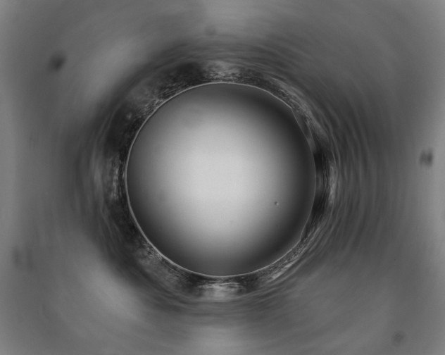 X0000091470525200708161401