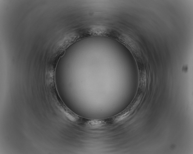X0000091470526200708161401