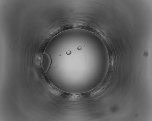 X0000091470527200708161401