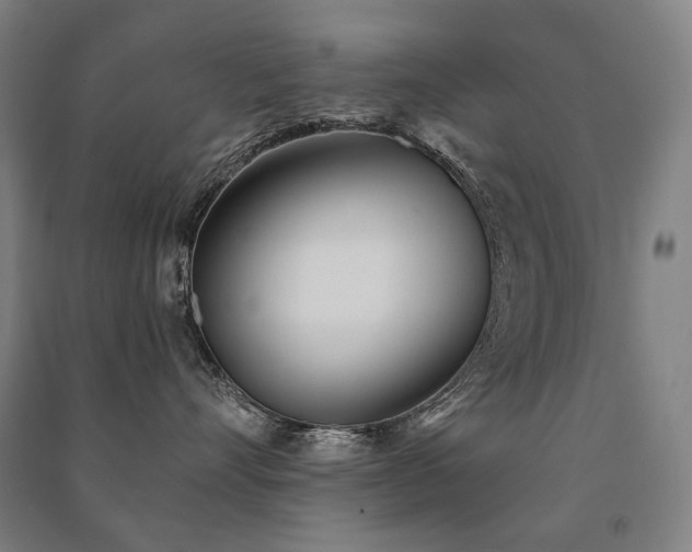 X0000091470528200708161401