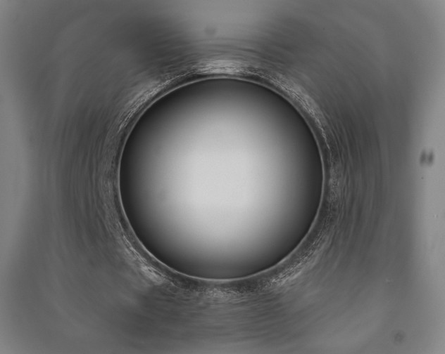 X0000091470529200708161401