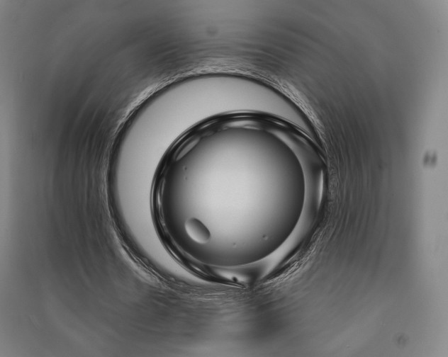 X0000091470530200708161401